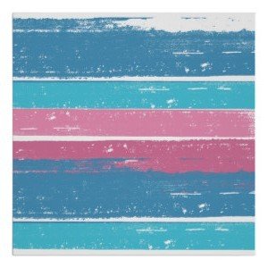trans-flag1