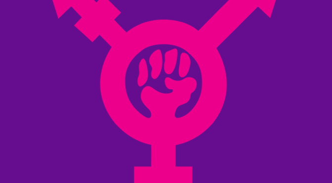 Novo site do Transfeminismo, atualizações e novidades!