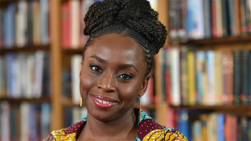 Quando Chimamanda circula nas mídias, são pelos subentendidos que a transfobia aparece, entenda